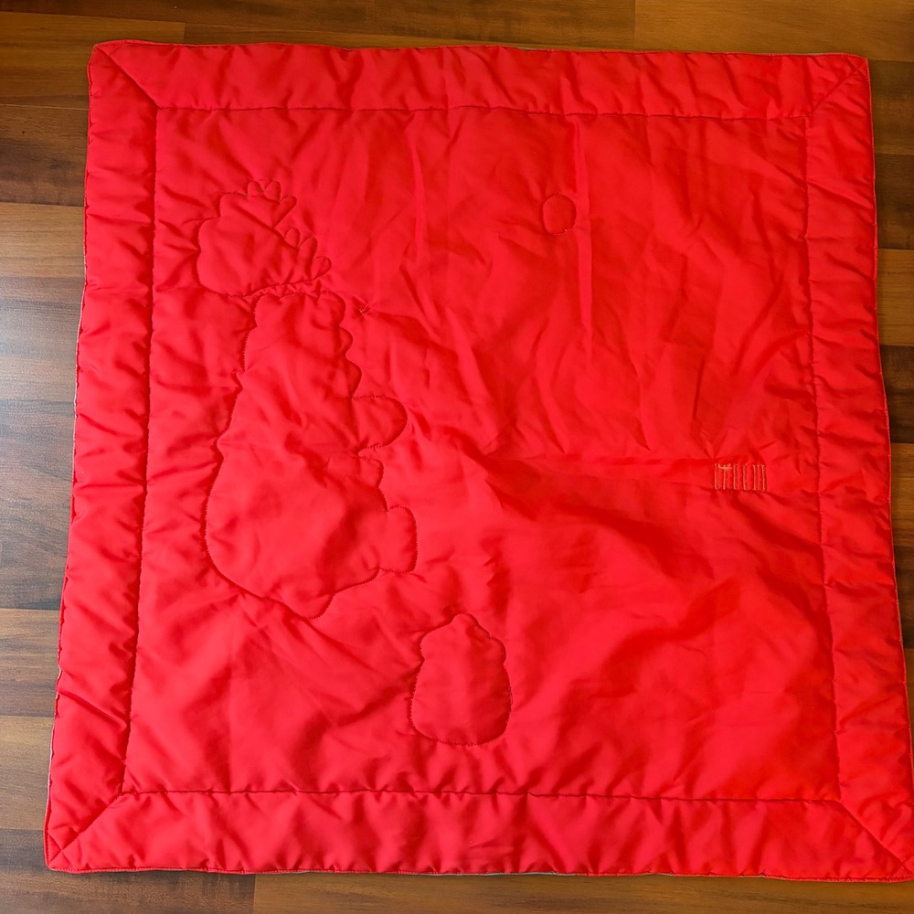 Disney Winnie the Pooh Tigger Vintage Baby Activity Play Mat Picnic Teal Red - Picture 8 of 8